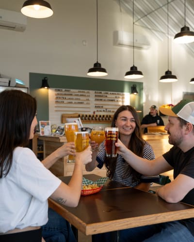 Un toast à la bière entre amis. 