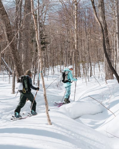 Randonnée alpine au Mont-Sainte-Anne.