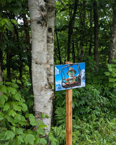 Cherche et Trouve Nature 