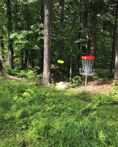 Disque-Golf