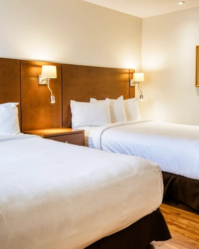 Motel Mistral - Room with two beds