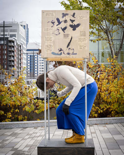Dance Performance – Mill Garden