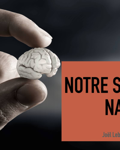 Notre stupidité naturelle – La science face à nos cerveaux rebelles