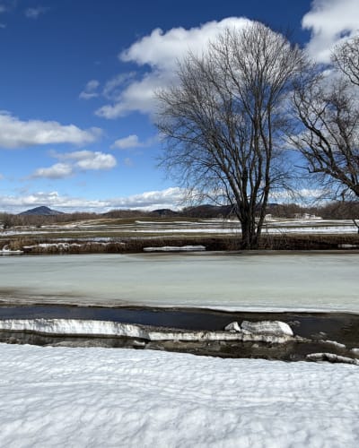 A Spring Perspective – Nature Photography Workshop