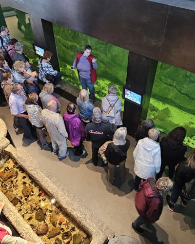 Aquarium - Musée du Fjord.