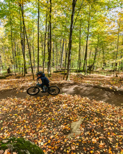 Fall Season Pass