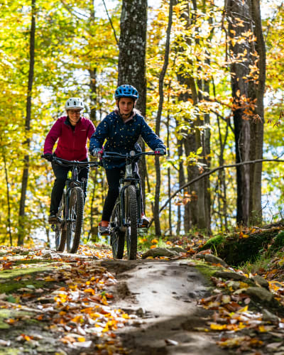 Parc vélo Sommet Saint-Sauveur