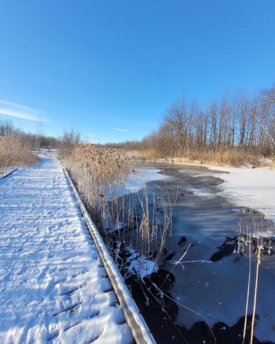 A footbridge and a pond covered in snow in winter.