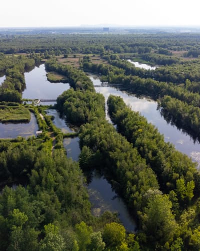 Aerial view of the park in summer, with its many ponds.