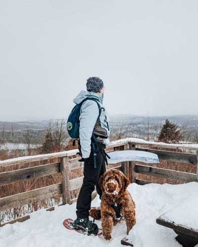 Belvédère en hiver avec un randonneur et un chien au Parc des Montagnes Noires de Ripon.