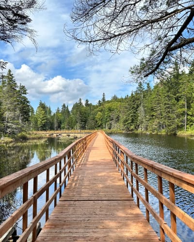 Passerelle en bois sur un plan d'eau en été. 