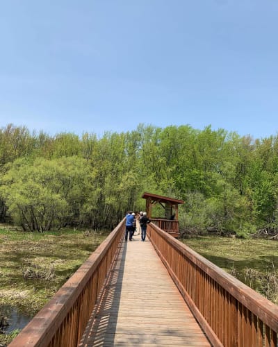 Hikers on the wooden walkway.