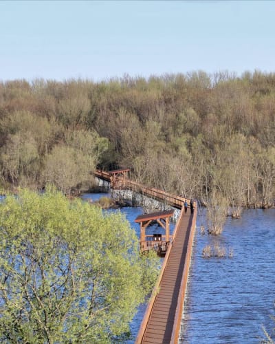 Wooden footbridge over a lake in spring.
