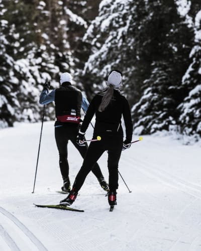 Parc linéaire Le P'tit Train du Nord