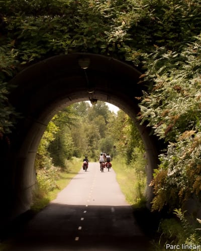 Family cycling.