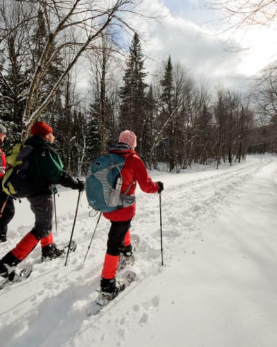 Ski de fond au Parc national de Frontenac.