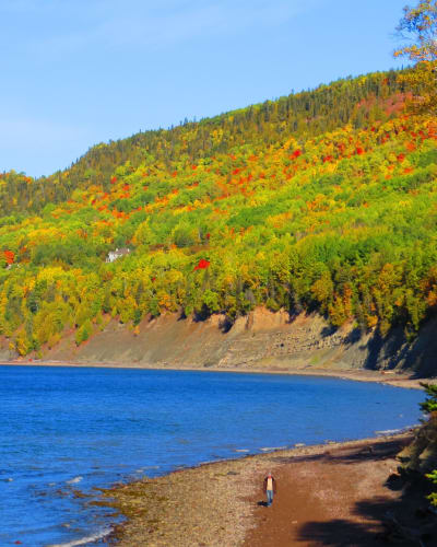 Le Parc national de Miguasha l'automne.