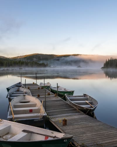 Des chaloupes amarrées au Parc national des Grands-Jardins.