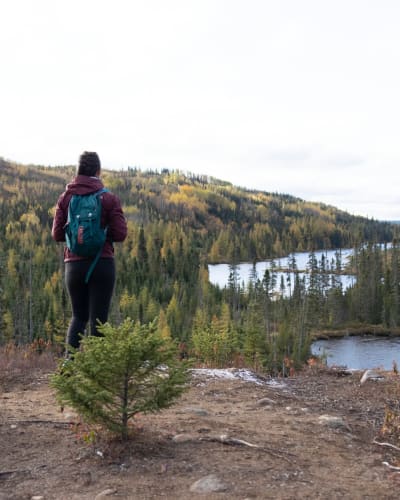 Une femme en randonnée au Parc national des Grands-Jardins, en automne.
