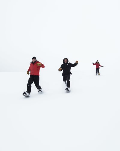 Des amis en raquettes au Parc national d'Oka.