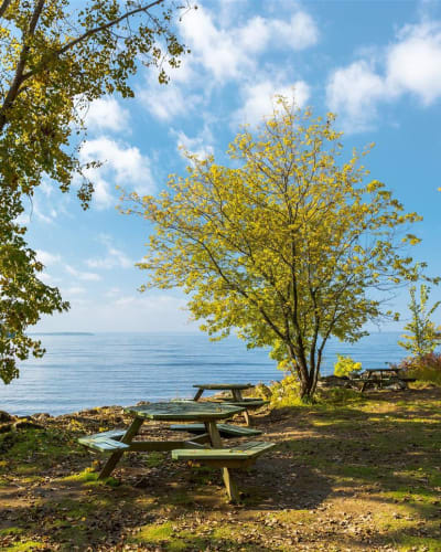 Parc-nature du Cap-Saint-Jacques