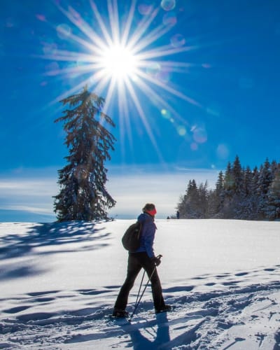 Snowshoeing at Parc Octopus.