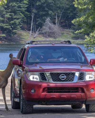A family adventure this summer