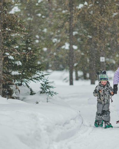 Lac Taureau Regional Park - A woman and child snowshoeing in the forest