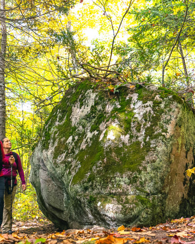 Access to nature—everyone outside!