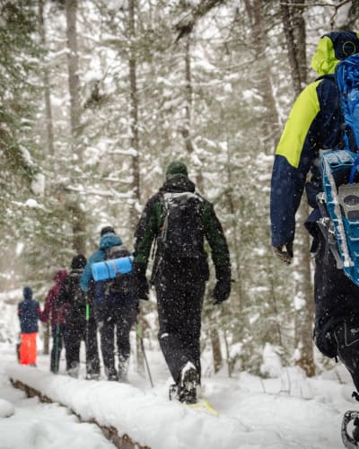 Un groupe faisant de la raquette au Parc régional Montagne du Diable.