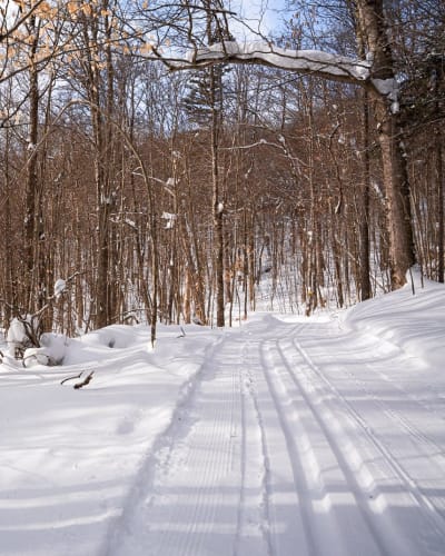 Piste de ski de fond au Parc régional Sainte-Agathe-des-Monts.