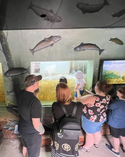 Visitors watching the salmon run.