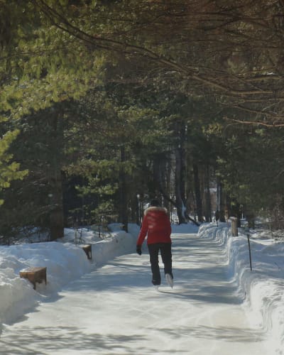 Personne patine au Patinage en forêt.