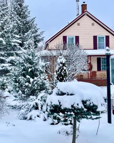 a_amour_et_amitie_1_h