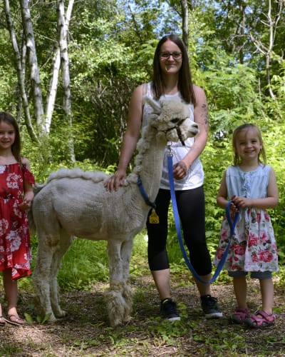 Guided tour of the farm