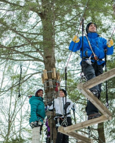 arbraska_siege_social_1_h