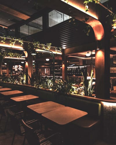 aubier_microbrasserie_1