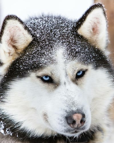 aventure_inukshuks_1_h