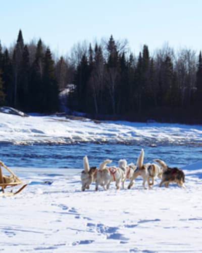 aventure_sur_la_route_des_fourrures_1_h
