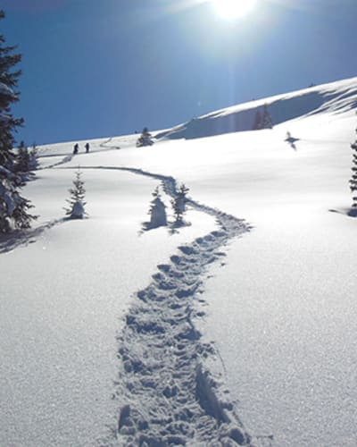 aventure_uapishka_1_h