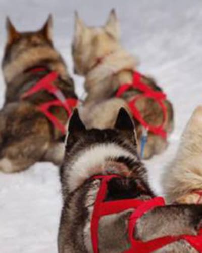 aventures_nouvelle_france_1_h