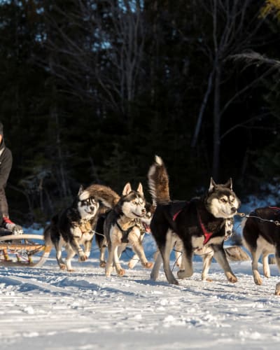 aventures_plein_air_1_h