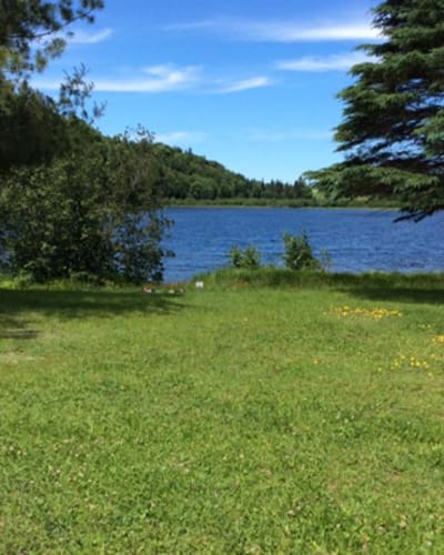 camping_ceraro_sauvage_1
