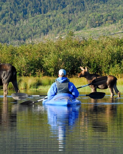 camping_de_la_reserve_faunique_de_matane_2