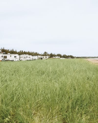 camping_municipal_havre_saint_pierre_1