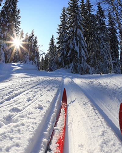 centre_de_services_le_littoral_1_h