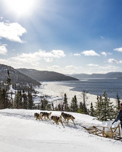 Centre de vacances Ferme 5 Étoiles