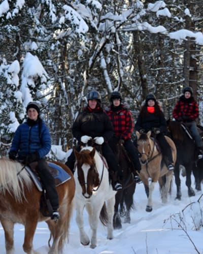 centre_equestre_aurelie_piche_1_h