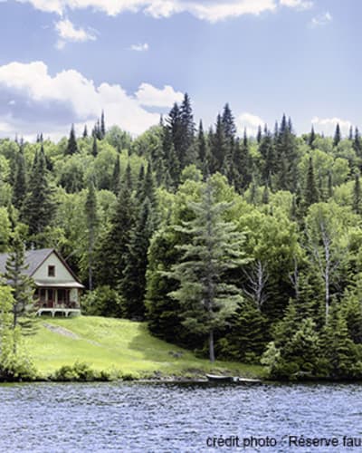 chalets_de_la_reserve_faunique_de_portneuf_1