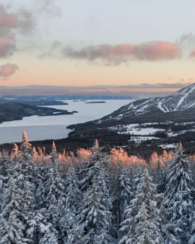 club_de_golf_owls_head_1_h